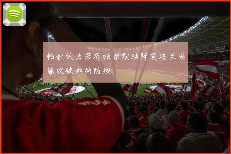 帕杜认为若有帕尔默助阵英格兰或能攻破加纳防线