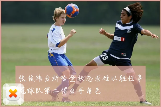 张佳玮分析哈登状态或难以胜任争冠球队第二得分手角色